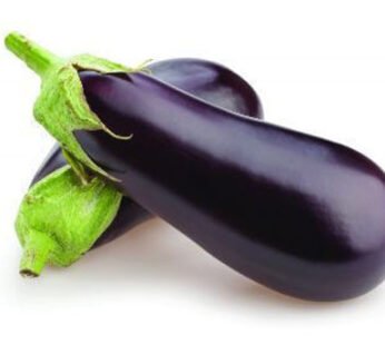 Eggplants Premium