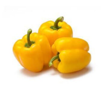 Capsicum Yellow Oman