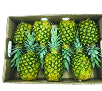 Pineapple Box Philippines