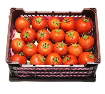 Tomato Premium Box