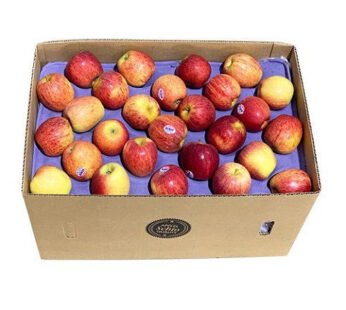 Apple Royal Gala Box France