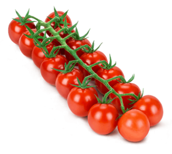 Tomato Cherry Bunch