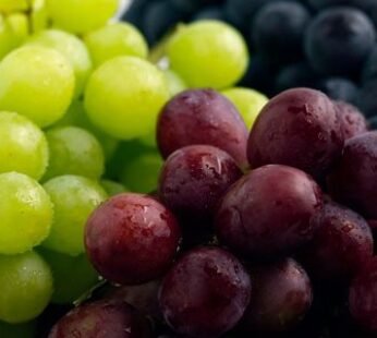 Red seedless/white grapes India