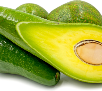 Avocado Uganda