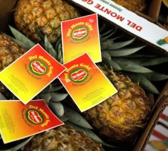 Pineapple Box Gold Philippines