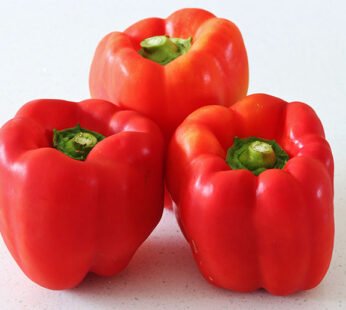 Capsicum Red Oman