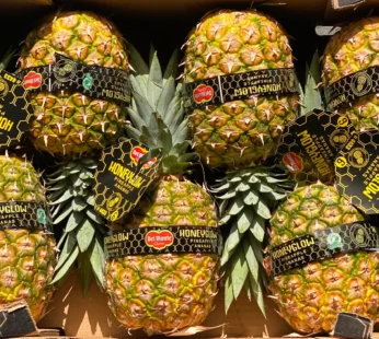 Pineapple Honeyglow Box Kenya