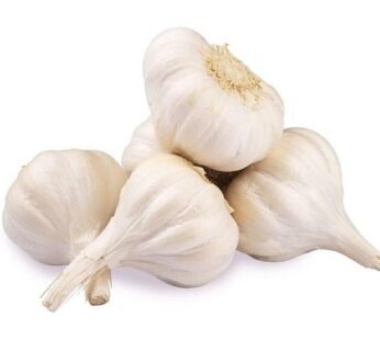 Garlic India