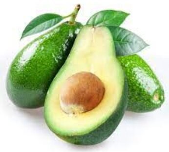 Avocado Kenya