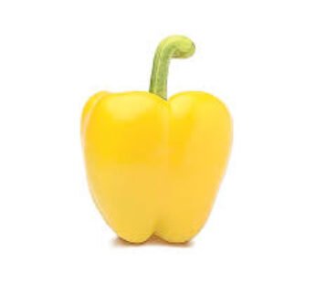 Capsicum Yellow OMAN