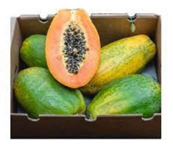 Papaya Box (Ripen at Home) Sri Lanka