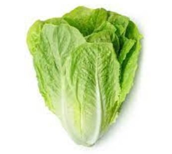 lettuce UAE