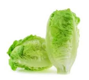 lettuce Jordan