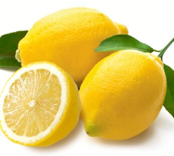 Lemon Egypt