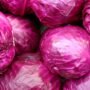 Red Cabbage Iran